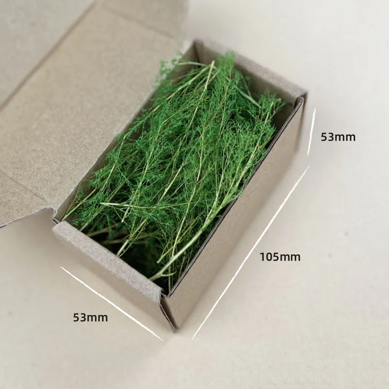 Dry Grass Model Kit Quinoa Plant Diy Military Sand Table Scene Materials for Diorama HO Railway Landscape Layout Model Making