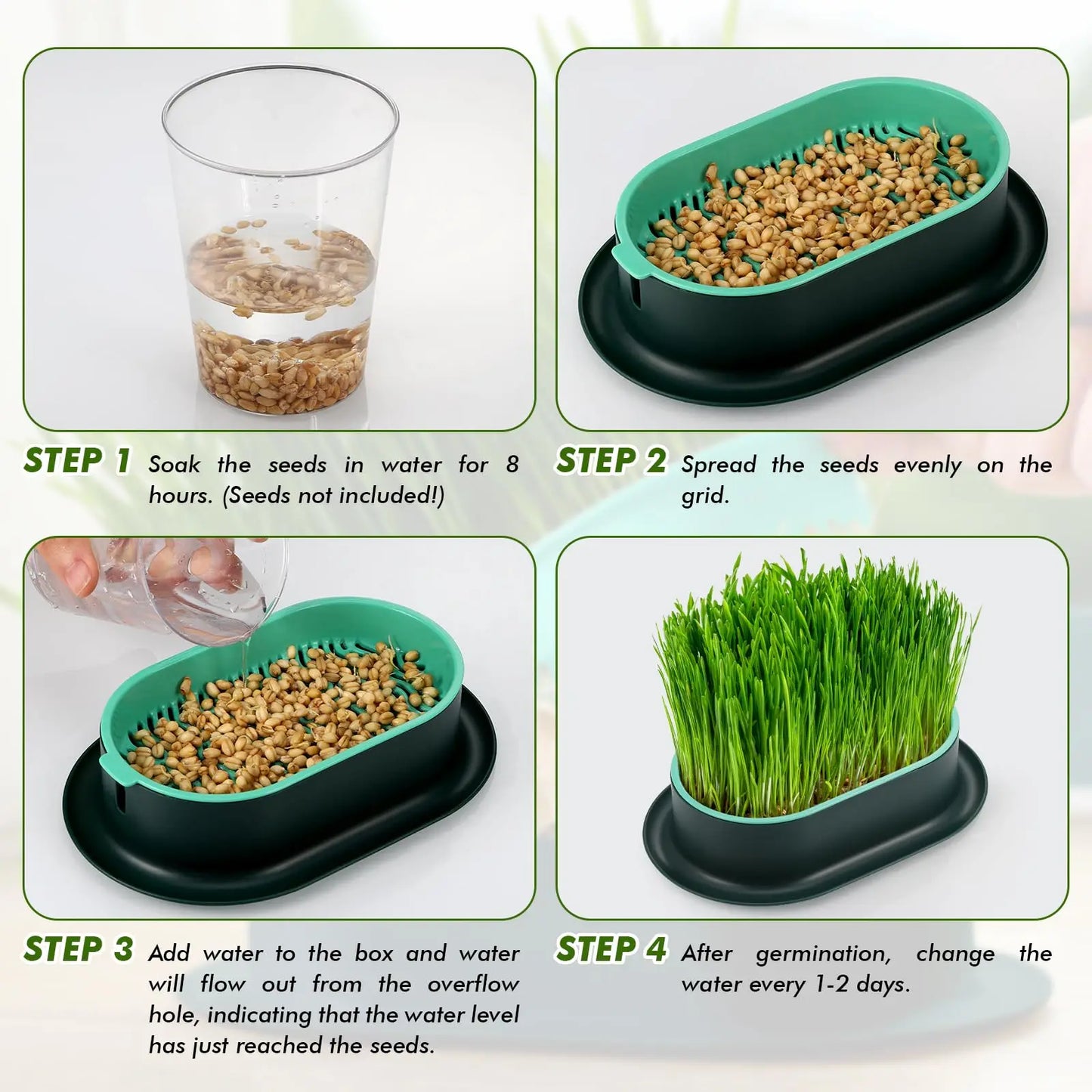 Cat Grass Planter,Capacity Cat Grass Kit,Soilless Culture Cat Grass Growing Kit,Hydroponic Cat Grass Seed Sprout Trays