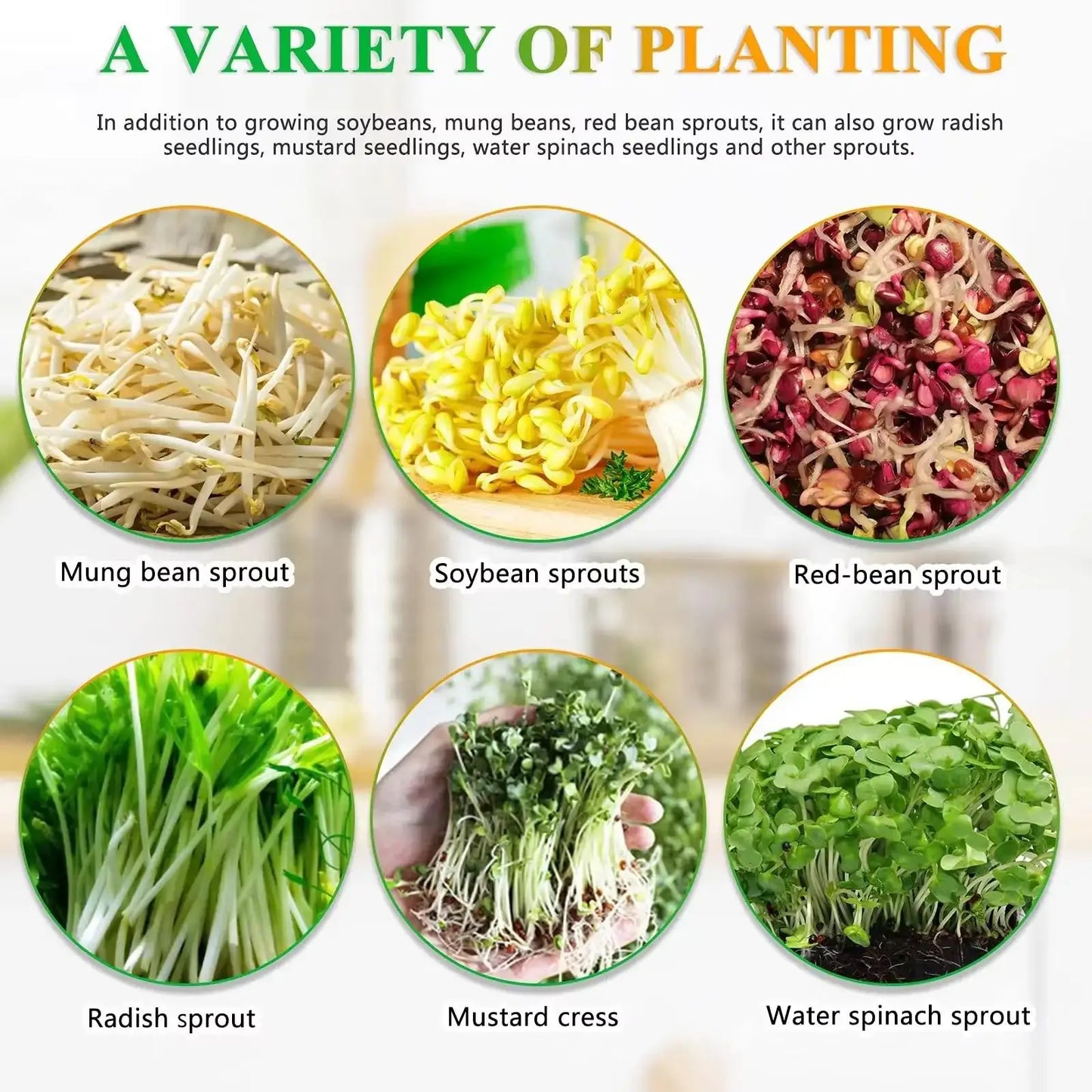 Bean Sprouts Machine Seed Sprouter Growing Kit with 3 Seasonal Modes Visible for Soybean Mung Bean Red Bean Garden Home Use