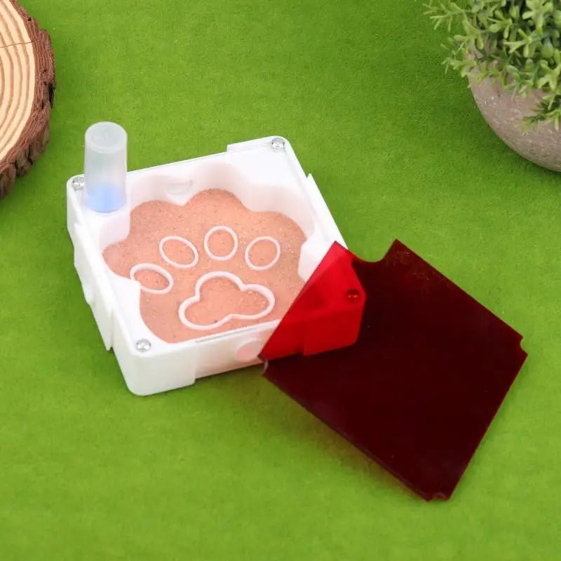 Ant Nest Formicarium with Dry/Wet Separation, All-in-One Ant Keeping Starter Kit Clear Acrylic Habitat Farm with Foraging Area