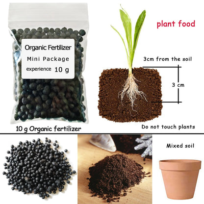 10 g Organic Fertilizer Mini Package Green General Purpose Safe And Pollution Free Use Flower Plant Food For Garden Bonsai