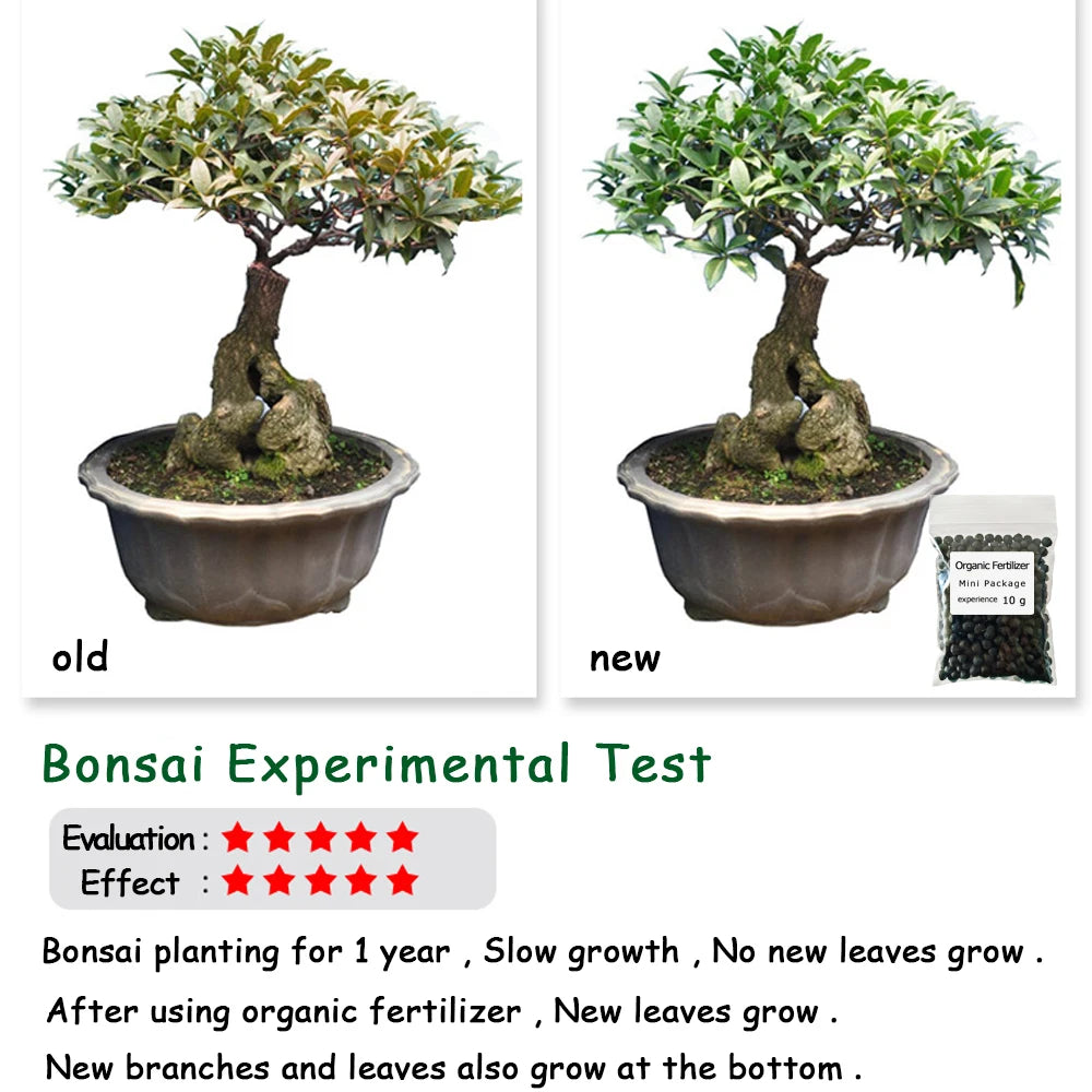 10 g Organic Fertilizer Mini Package Green General Purpose Safe And Pollution Free Use Flower Plant Food For Garden Bonsai