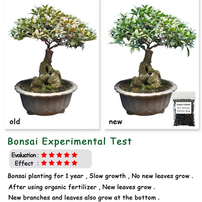 10 g Organic Fertilizer Mini Package Green General Purpose Safe And Pollution Free Use Flower Plant Food For Garden Bonsai