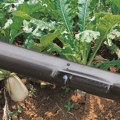 5~50m Drip Irrigation System Rain Drip Tape Farm Greenhouse Home Garden Plants Trickle Irrigation Drip Hose Emitter Inside