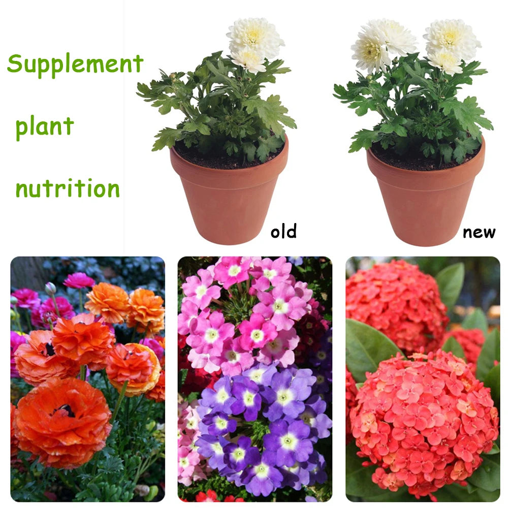 10 g Organic Fertilizer Mini Package Green General Purpose Safe And Pollution Free Use Flower Plant Food For Garden Bonsai