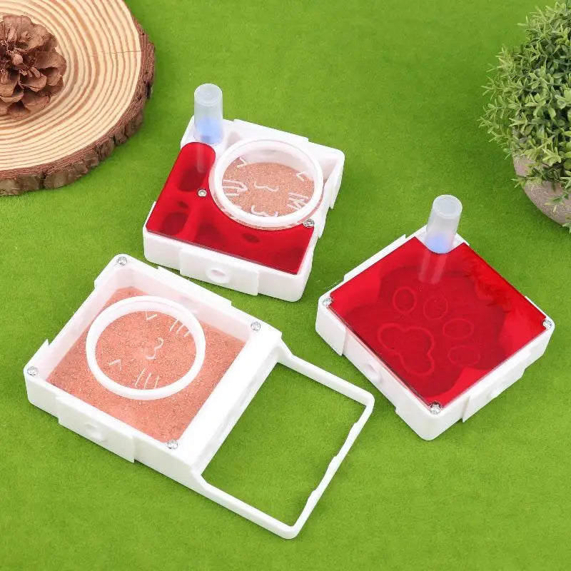 Ant Nest Formicarium with Dry/Wet Separation, All-in-One Ant Keeping Starter Kit Clear Acrylic Habitat Farm with Foraging Area