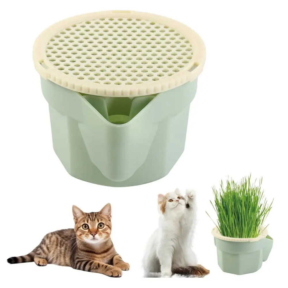Hydroponic Cat Grass Box Planter Reusable Easy To Grow Microgreens Growing Kit Hierarchical Design Cat Grass Growing Pot