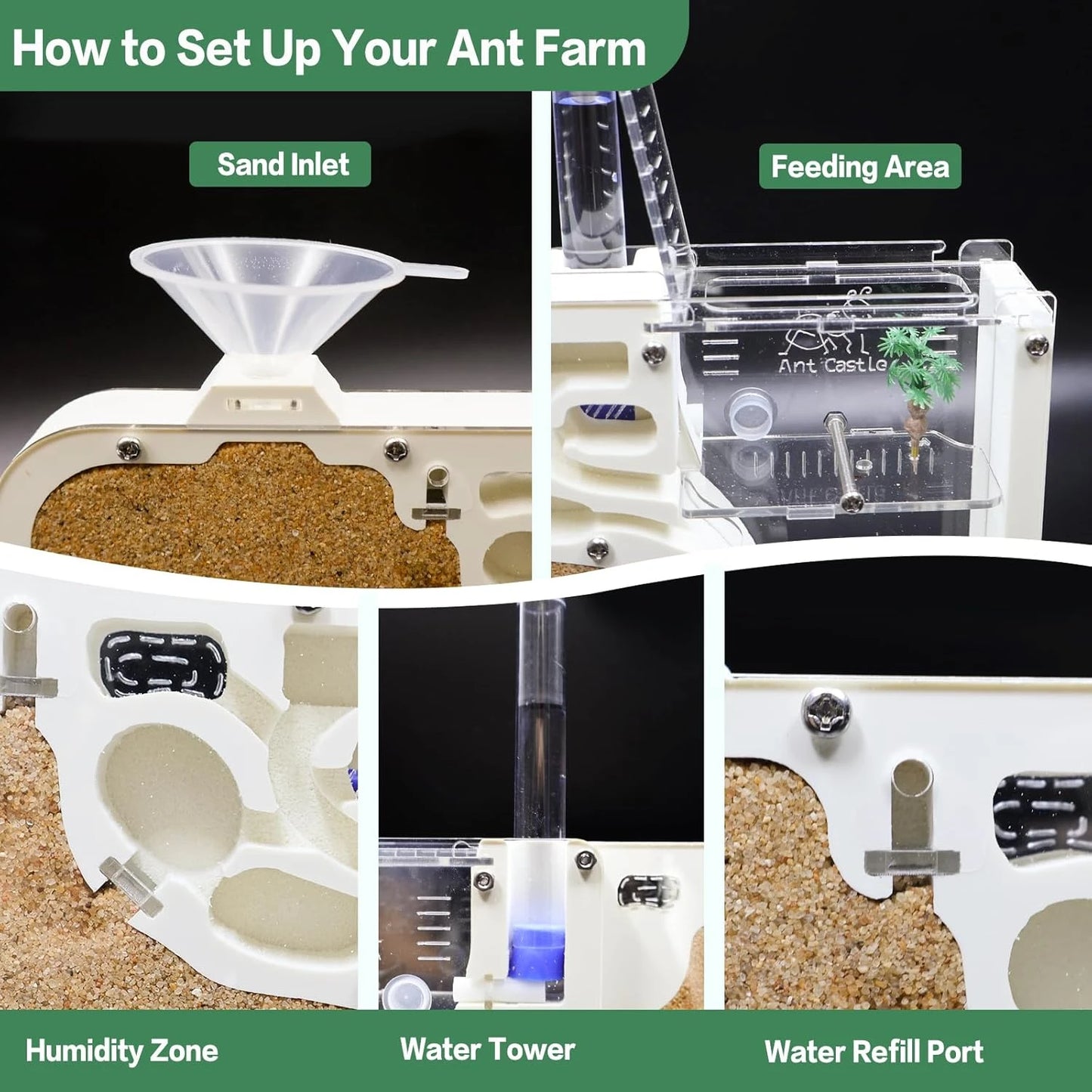 Ant Farm Castle: Diy Clear Acrylic Habitat For Live Ants - Complete Tool Kit | Educational Toy For Ant Colony Observation