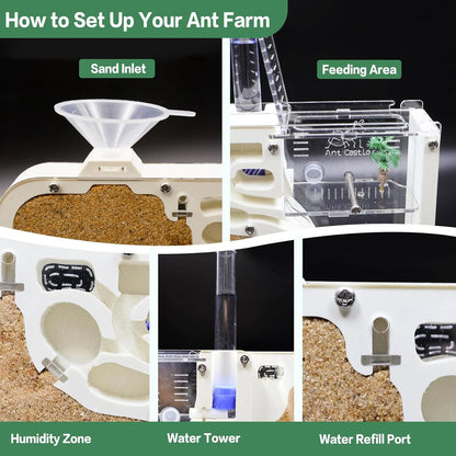 Ant Farm Castle: Diy Clear Acrylic Habitat For Live Ants - Complete Tool Kit | Educational Toy For Ant Colony Observation