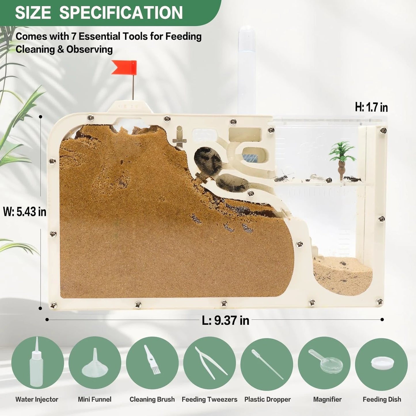 Ant Farm Castle: Diy Clear Acrylic Habitat For Live Ants - Complete Tool Kit | Educational Toy For Ant Colony Observation