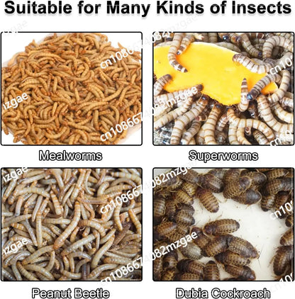 Mealworm Breeding Kit Four-Layer High Capacity Mealworm Farm To Breed Live Mealworms for Bearded Dragon and Reptiles