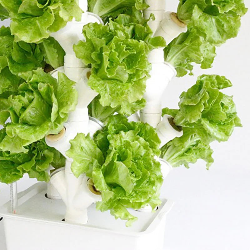 Hydroponic Systems Grow Kit Soilless Cultivation Equipment Vegetables Flowers Planting Planter Smart Vertical Hydroponic System