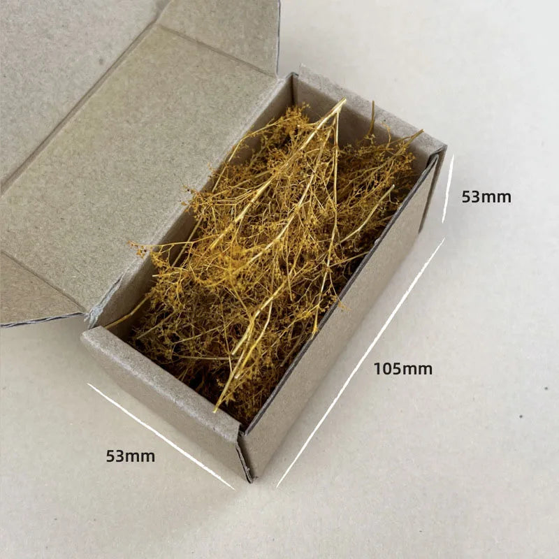 Dry Grass Model Kit Quinoa Plant Diy Military Sand Table Scene Materials for Diorama HO Railway Landscape Layout Model Making