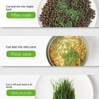 Hydroponic Cat Grass Box Planter Easy To Grow Hierarchical Design Microgreens Growing Kit Reusable Cat Grass Growing Pot