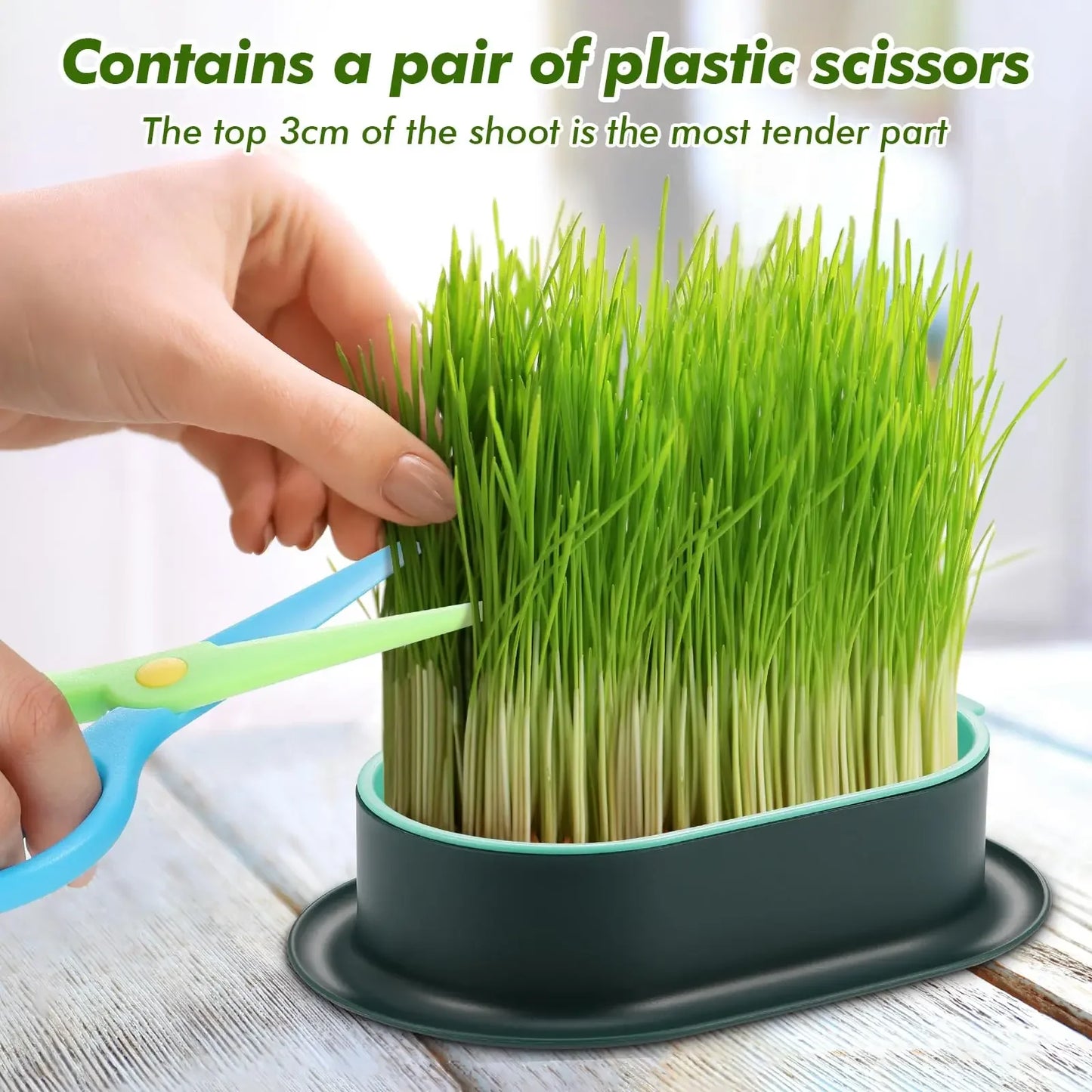 Cat Grass Seed Sprout Trays Cat Grass Planter,Capacity Cat Grass Kit,Soilless Culture Cat Grass Growing Kit,Hydroponic