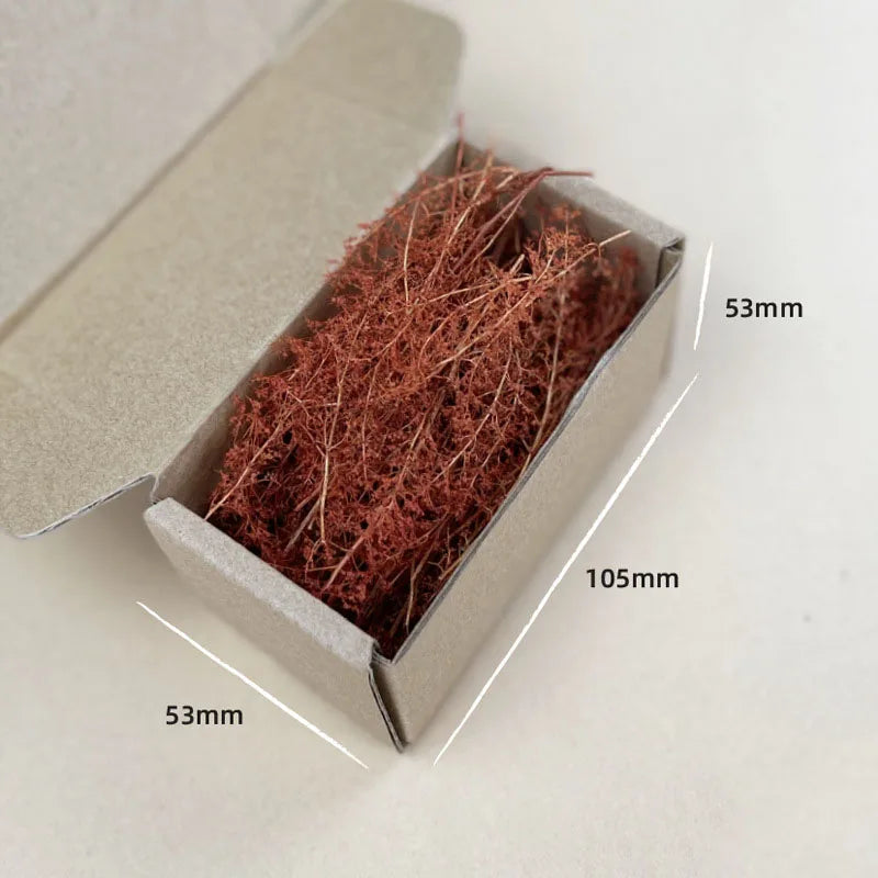 Dry Grass Model Kit Quinoa Plant Diy Military Sand Table Scene Materials for Diorama HO Railway Landscape Layout Model Making