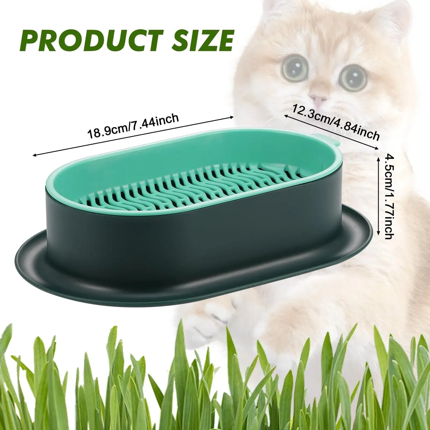 Cat Grass Planter,Capacity Cat Grass Kit,Soilless Culture Cat Grass Growing Kit,Hydroponic Cat Grass Seed Sprout Trays