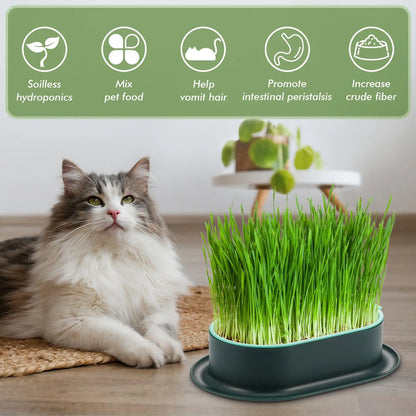 Cat Grass Seed Sprout Trays Cat Grass Planter,Capacity Cat Grass Kit,Soilless Culture Cat Grass Growing Kit,Hydroponic