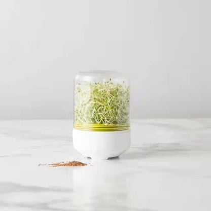 Countertop Sprouter Sprouts Growing Kit Reusable Household Kitchen Bean Plants Sprouting System Seeds Crop Container Supplies