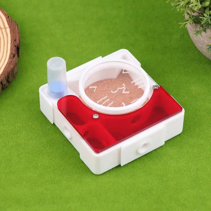 Ant Nest Formicarium with Dry/Wet Separation, All-in-One Ant Keeping Starter Kit Clear Acrylic Habitat Farm with Foraging Area