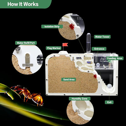 Ant Farm Castle: Diy Clear Acrylic Habitat For Live Ants - Complete Tool Kit | Educational Toy For Ant Colony Observation