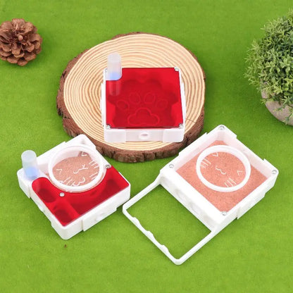 Ant Nest Formicarium with Dry/Wet Separation, All-in-One Ant Keeping Starter Kit Clear Acrylic Habitat Farm with Foraging Area