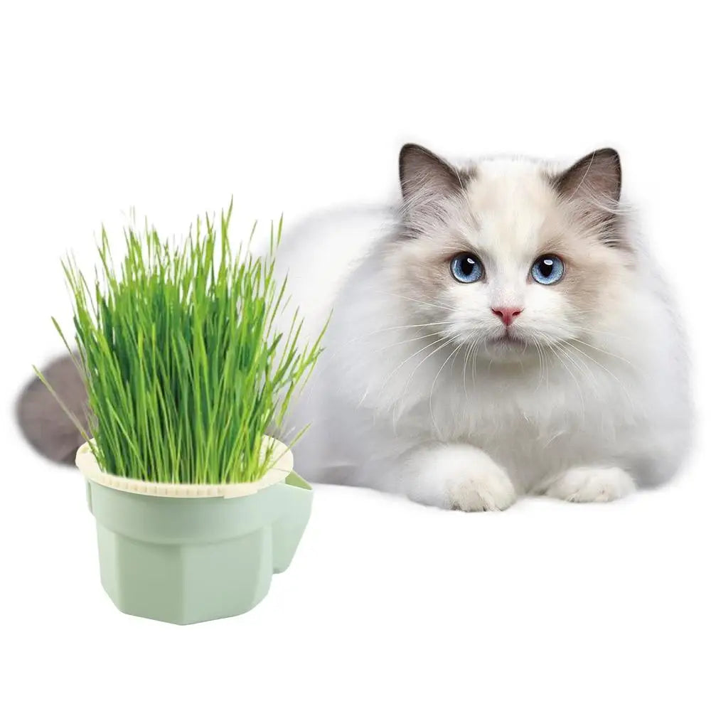 Hydroponic Cat Grass Box Planter Reusable Easy To Grow Microgreens Growing Kit Hierarchical Design Cat Grass Growing Pot