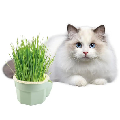 Hydroponic Cat Grass Box Planter Reusable Easy To Grow Microgreens Growing Kit Hierarchical Design Cat Grass Growing Pot