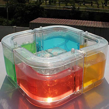 Live Feeding System  Maze Educational & Learning Science Kit Toy for Study Architecture Ecosystem