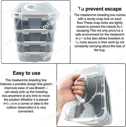 Mealworm Breeding Kit Four-Layer High Capacity Mealworm Farm To Breed Live Mealworms for Bearded Dragon and Reptiles