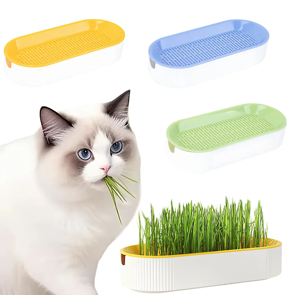 Cat Grass Growing Kit Hydroponic , Fast Germination Pet Grass Planter Plastic Tray Set for Cats