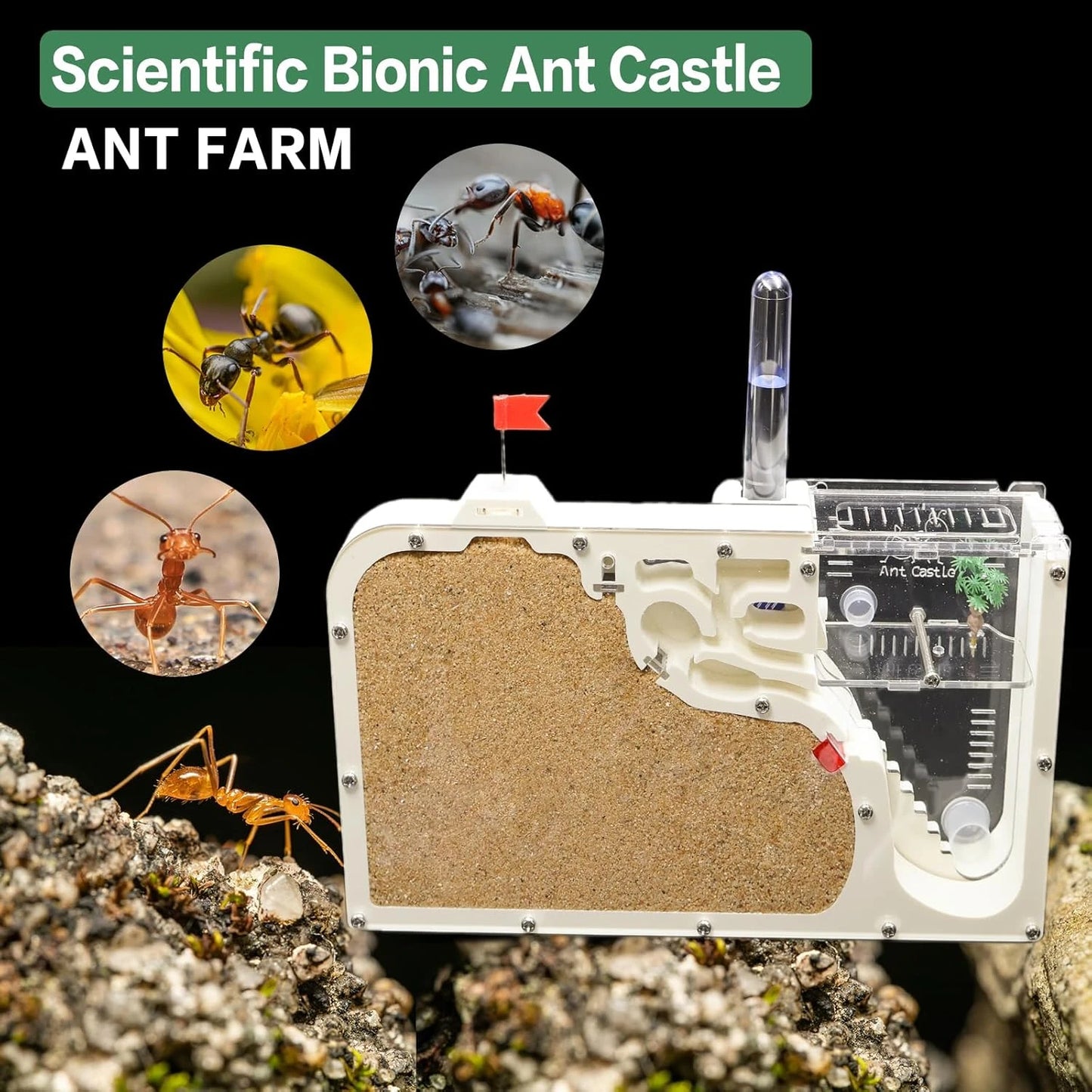 Ant Farm Castle: Diy Clear Acrylic Habitat For Live Ants - Complete Tool Kit | Educational Toy For Ant Colony Observation