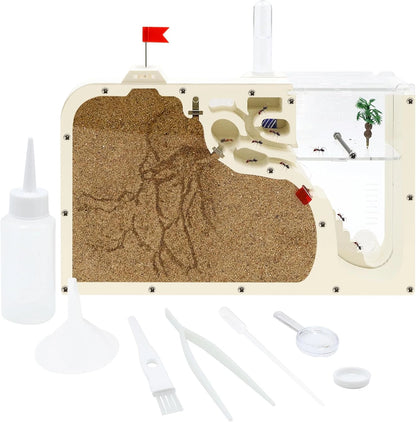 Ant Farm Castle: Diy Clear Acrylic Habitat For Live Ants - Complete Tool Kit | Educational Toy For Ant Colony Observation