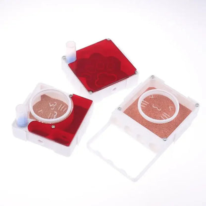 Ant Nest Formicarium with Dry/Wet Separation, All-in-One Ant Keeping Starter Kit Clear Acrylic Habitat Farm with Foraging Area