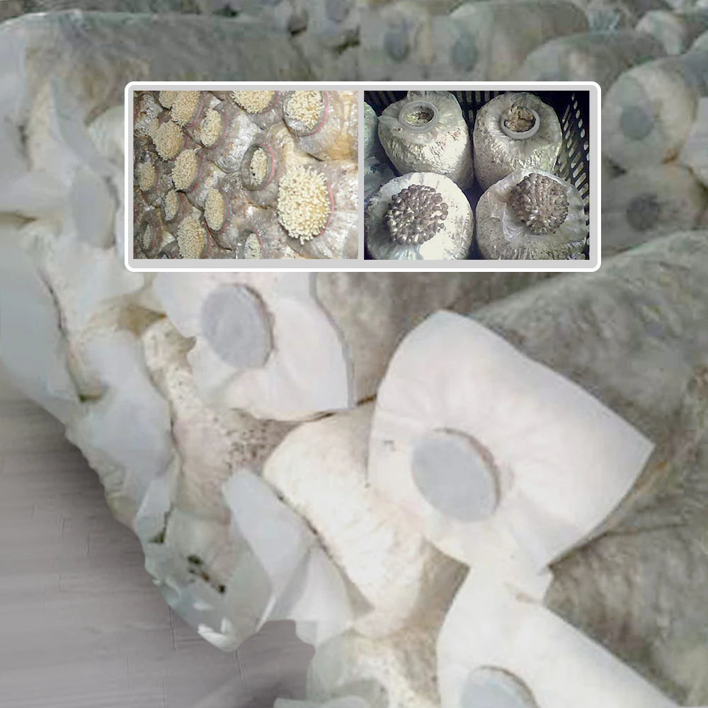 Mushroom Planting Bag Fruiting Ring Kit for Farm Edible Fungus Cultivation Garden Planter Tool Breathable Non-Woven Sealing Film