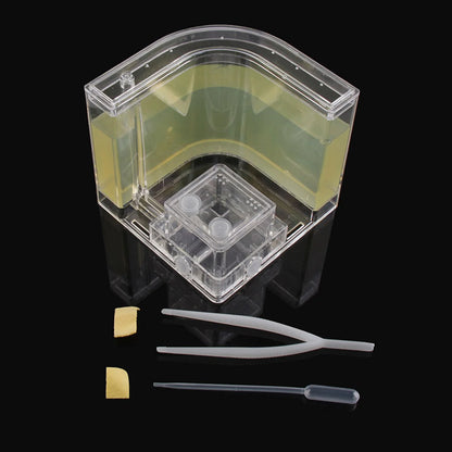 Live Feeding System  Maze Educational & Learning Science Kit Toy for Study Architecture Ecosystem