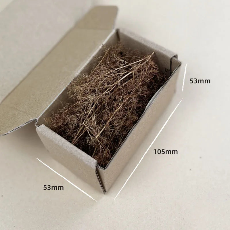 Dry Grass Model Kit Quinoa Plant Diy Military Sand Table Scene Materials for Diorama HO Railway Landscape Layout Model Making