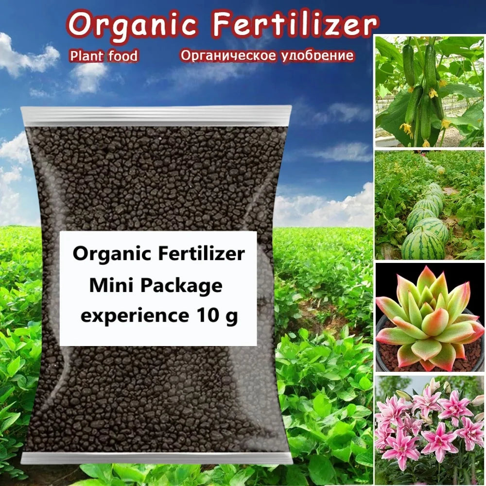 10 G Organic Fertilizer Mini Package Green General Purpose Safe And Pollution Free Use Flower Plant Food For Garden Bonsai