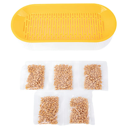 Cat Grass Growing Kit Hydroponic , Fast Germination Pet Grass Planter Plastic Tray Set for Cats