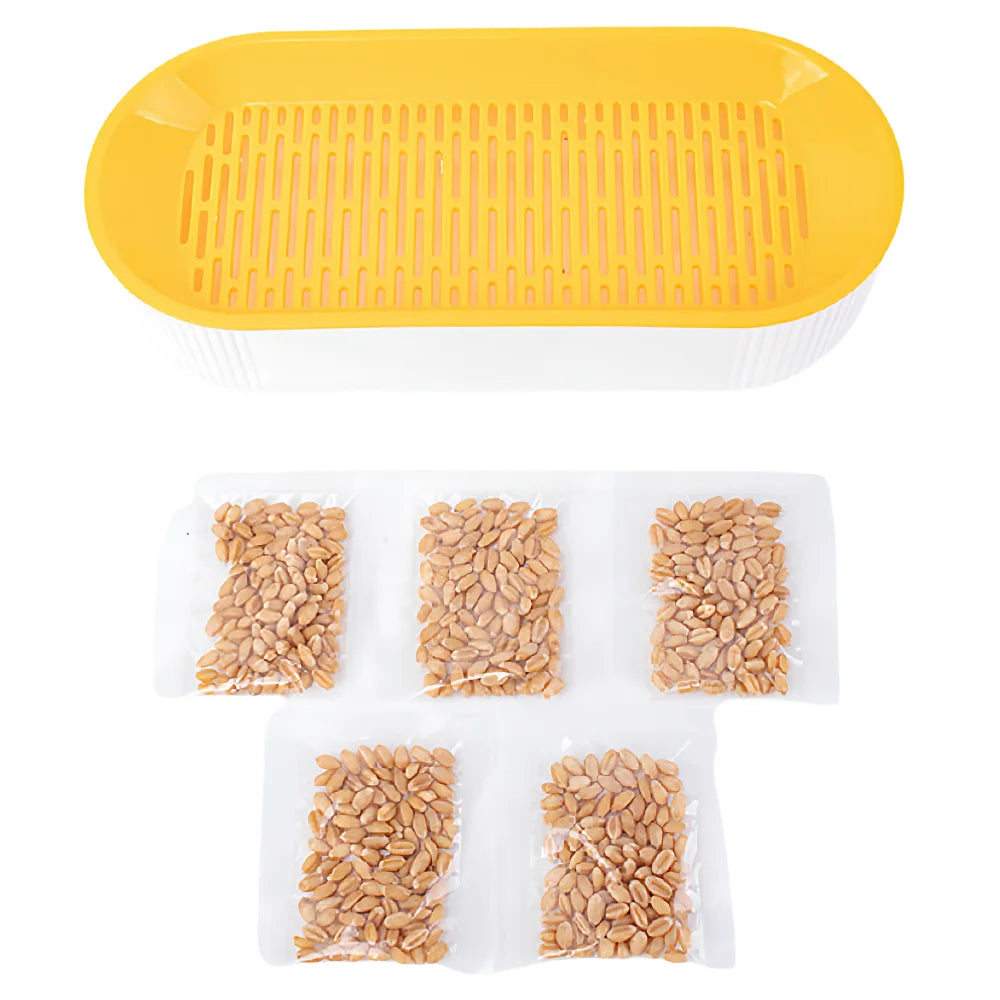 Cat Grass Growing Kit Hydroponic , Fast Germination Pet Grass Planter Plastic Tray Set for Cats