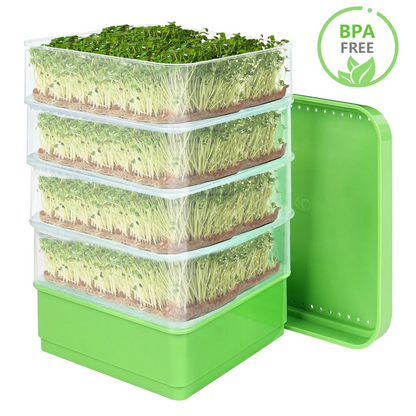 Sale Bean Seed Germination Kit, Micro-Green Plant Growing Tray, Drain Tray, Four-Tier Stackable Sprout Growing Kit