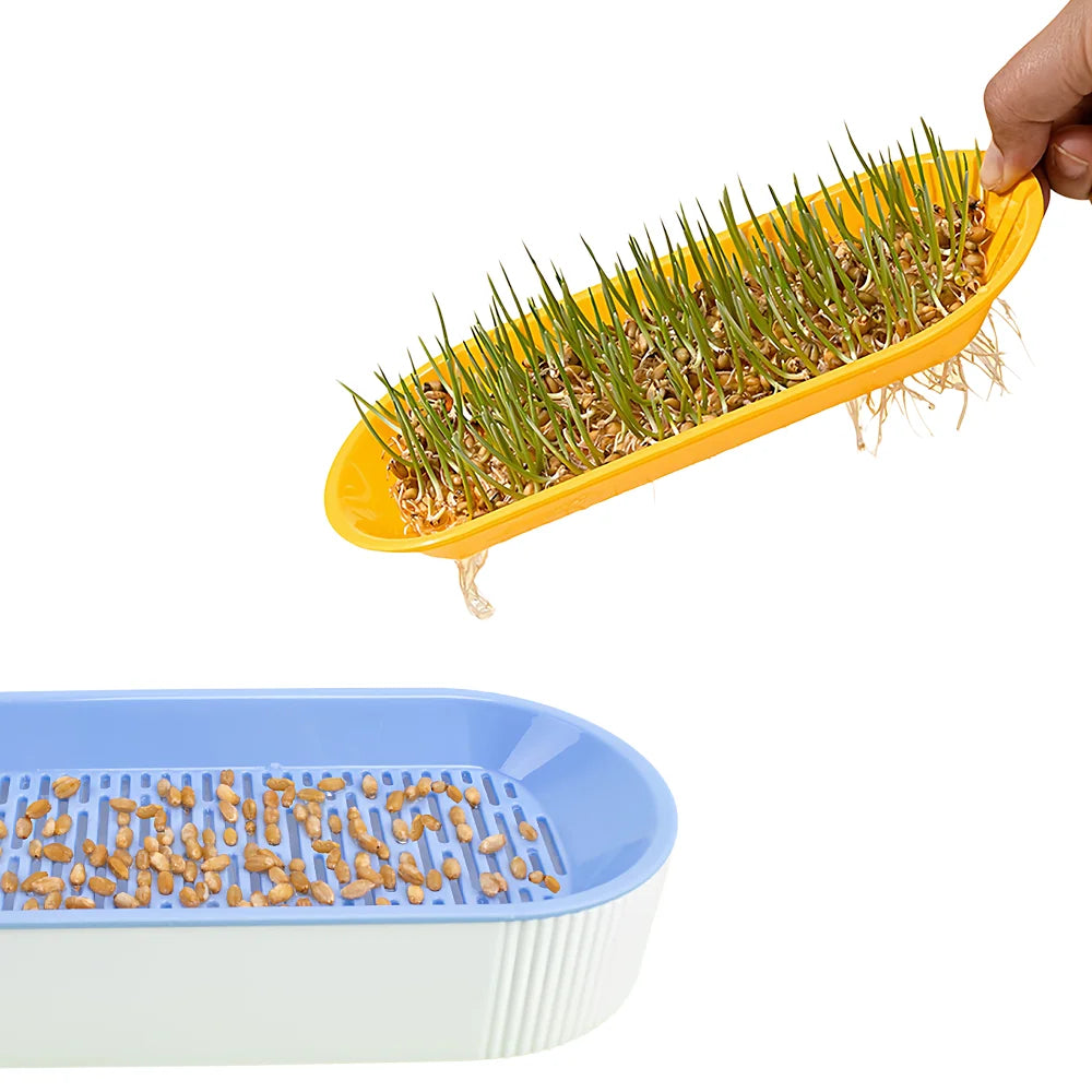 Cat Grass Growing Kit Hydroponic , Fast Germination Pet Grass Planter Plastic Tray Set for Cats