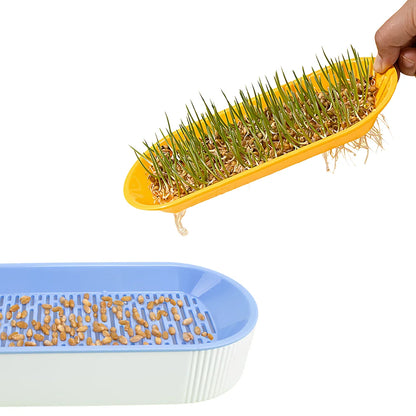 Cat Grass Growing Kit Hydroponic , Fast Germination Pet Grass Planter Plastic Tray Set for Cats