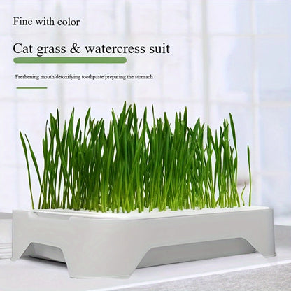 Pet Cat Grass Planter Kit Soilless Cat Grass Planting Kit Nursery Box Gifts for Families Friends