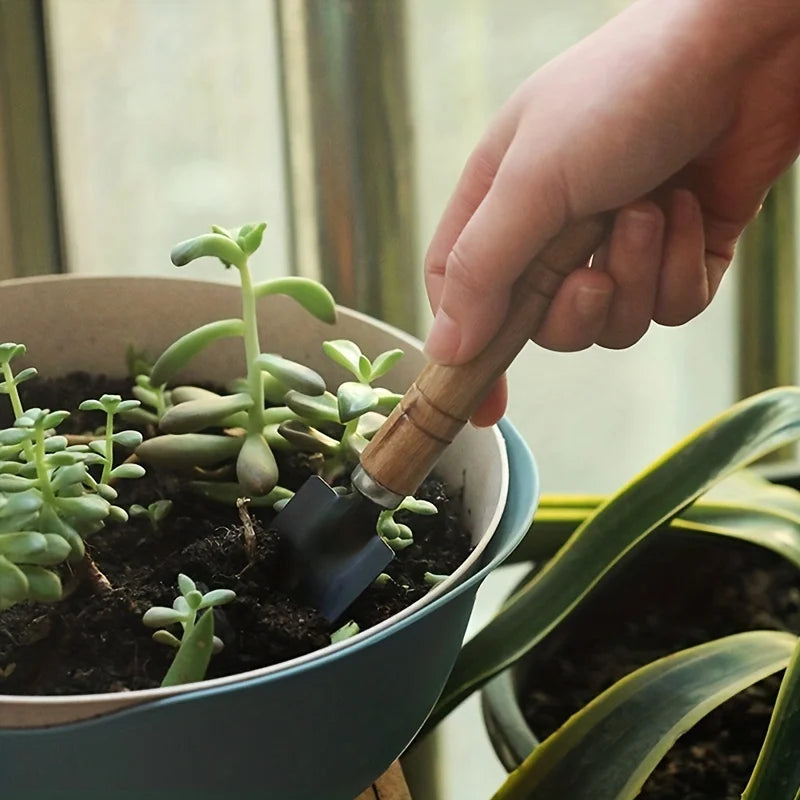 Garden Tool Set Mini Gardening Kit with Rake Trowel and Shovel for Succulent Plants and Soil Cultivation