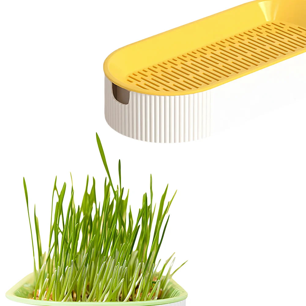 Cat Grass Growing Kit Hydroponic , Fast Germination Pet Grass Planter Plastic Tray Set for Cats