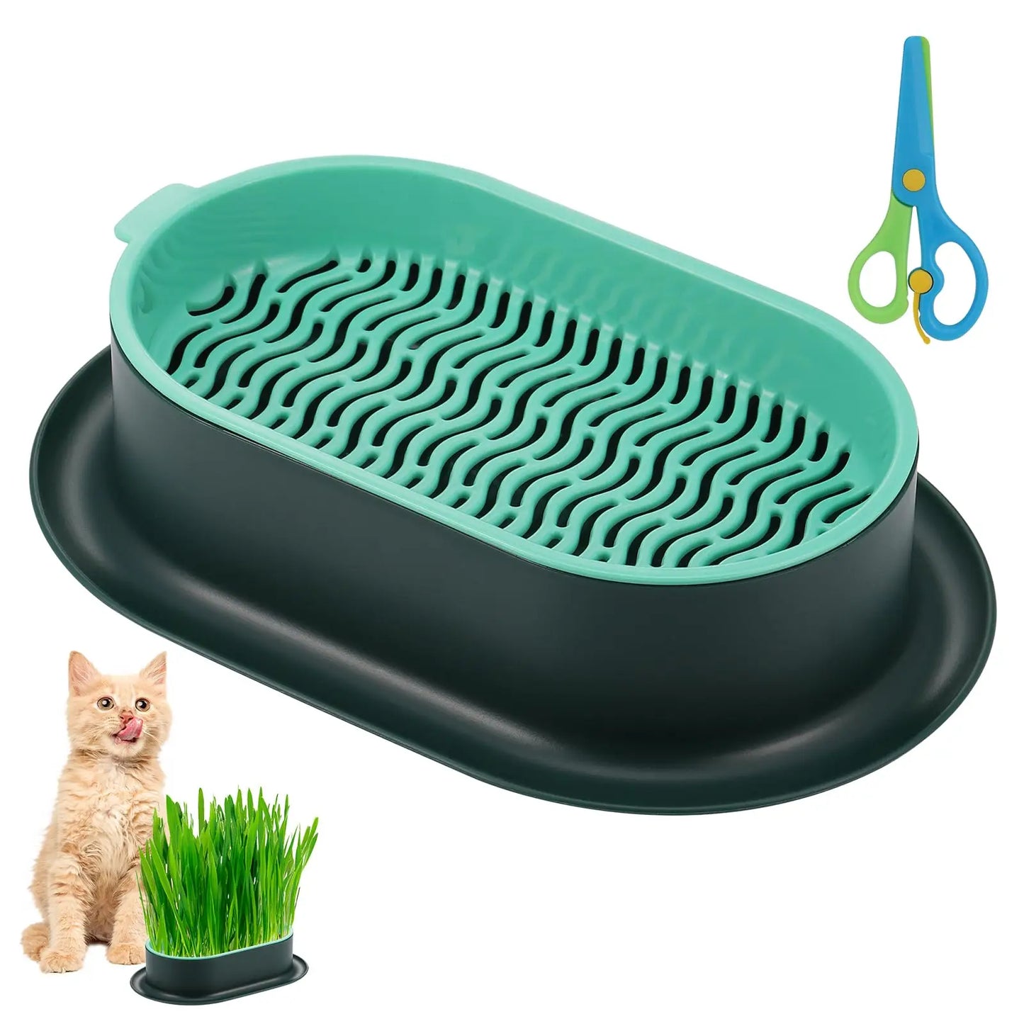 Cat Grass Seed Sprout Trays Cat Grass Planter,Capacity Cat Grass Kit,Soilless Culture Cat Grass Growing Kit,Hydroponic