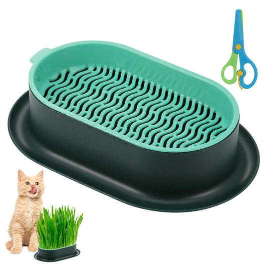 Cat Grass Planter,Capacity Cat Grass Kit,Soilless Culture Cat Grass Growing Kit,Hydroponic Cat Grass Seed Sprout Trays