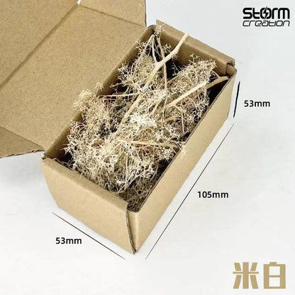 Dry Grass Model Kit Quinoa Plant Diy Military Sand Table Scene Materials for Diorama HO Railway Landscape Layout Model Making