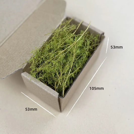 Dry Grass Model Kit Quinoa Plant Diy Military Sand Table Scene Materials for Diorama HO Railway Landscape Layout Model Making